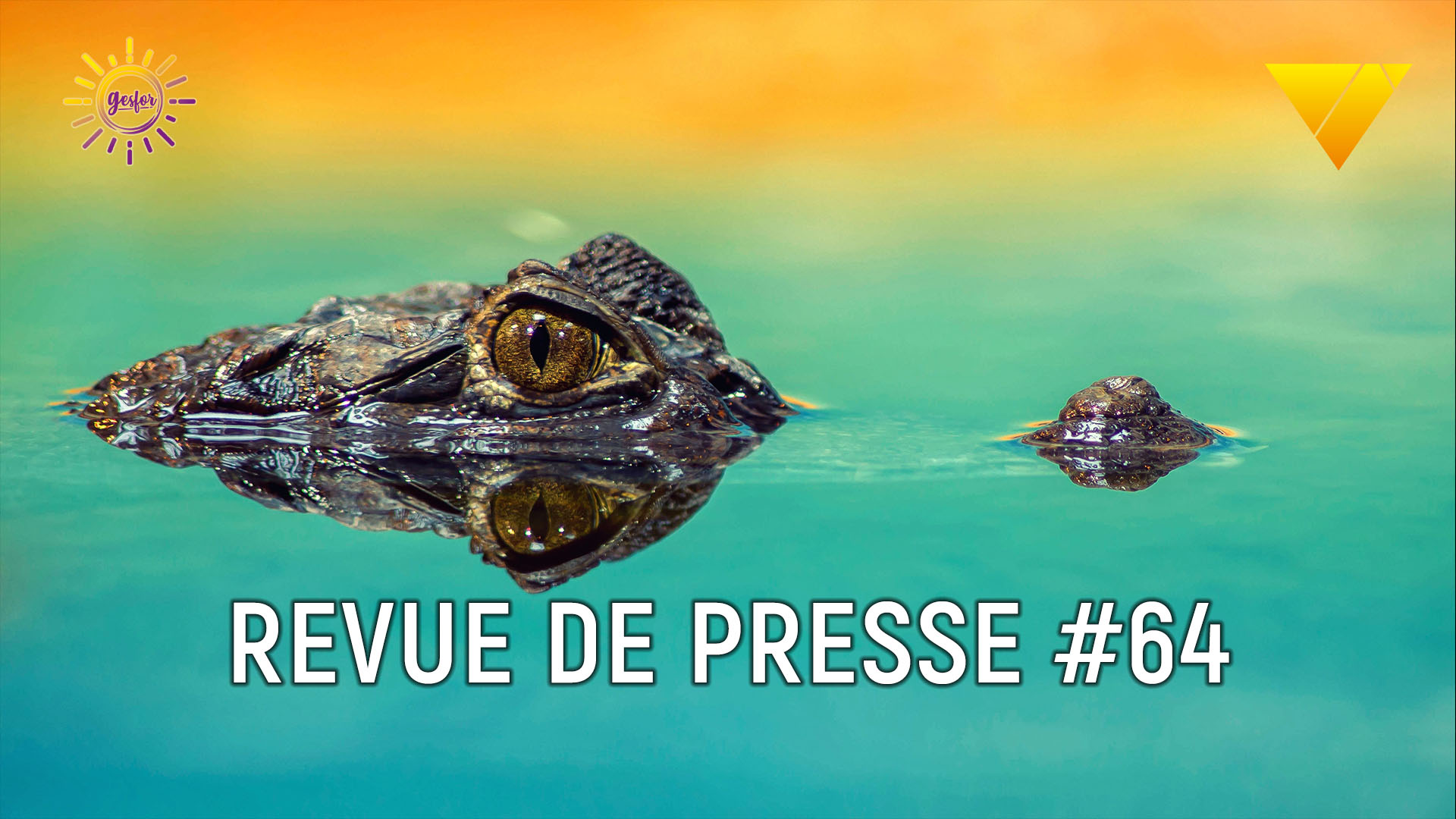 illustration de la revue de presse n°64 en accidentologie du travail avec un crocodile